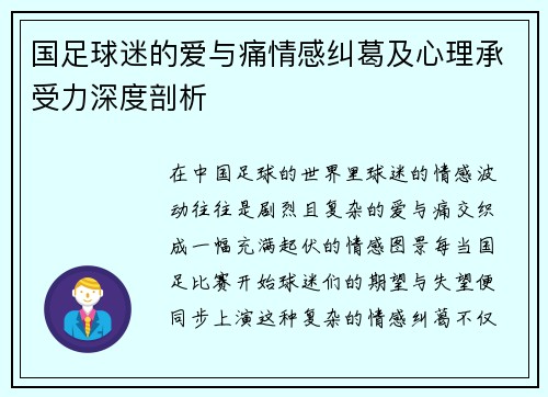 国足球迷的爱与痛情感纠葛及心理承受力深度剖析