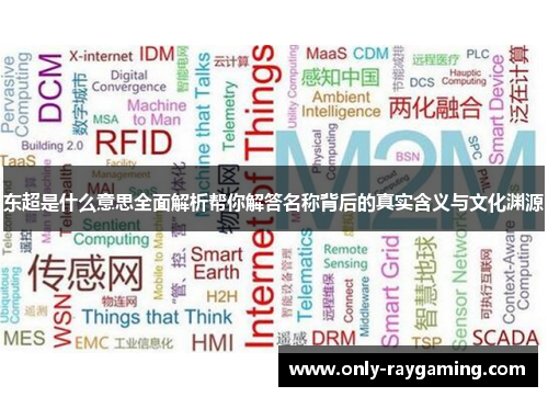 东超是什么意思全面解析帮你解答名称背后的真实含义与文化渊源