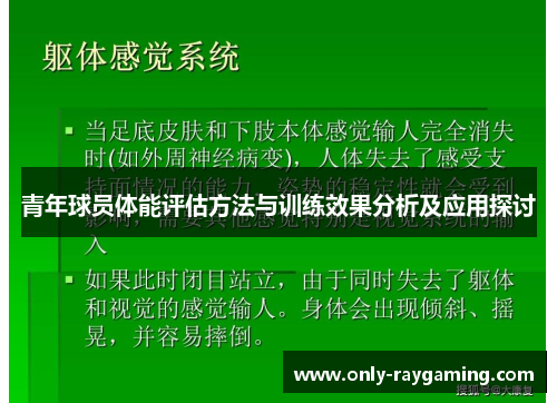 青年球员体能评估方法与训练效果分析及应用探讨