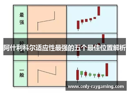 阿什利科尔适应性最强的五个最佳位置解析