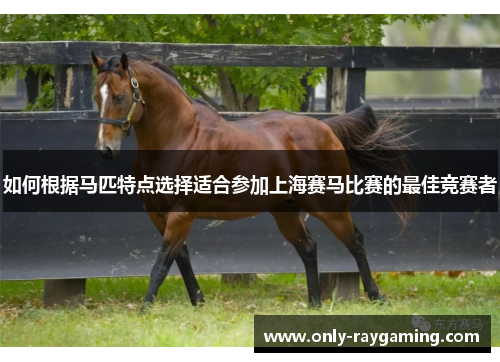 如何根据马匹特点选择适合参加上海赛马比赛的最佳竞赛者 如何根据马匹特点选择适合参加上海赛马比赛的最佳竞赛者